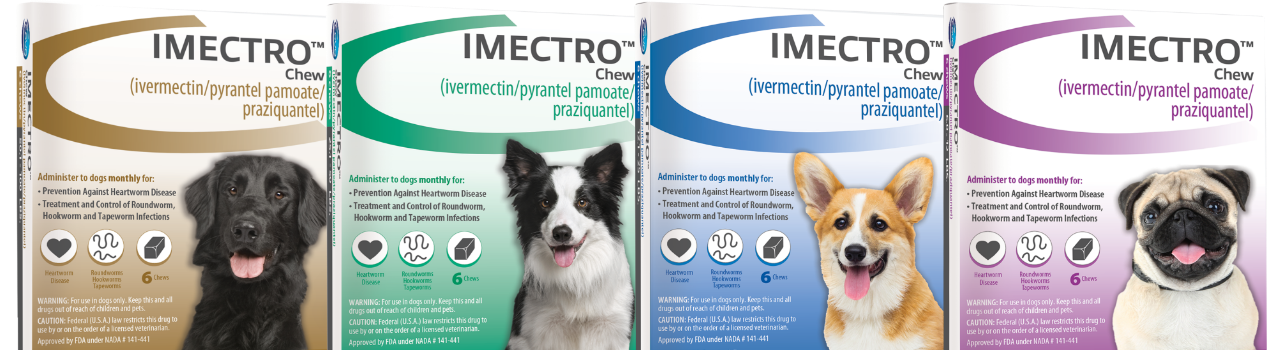 Product family image of IMECTRO® Chew for Dogs.
